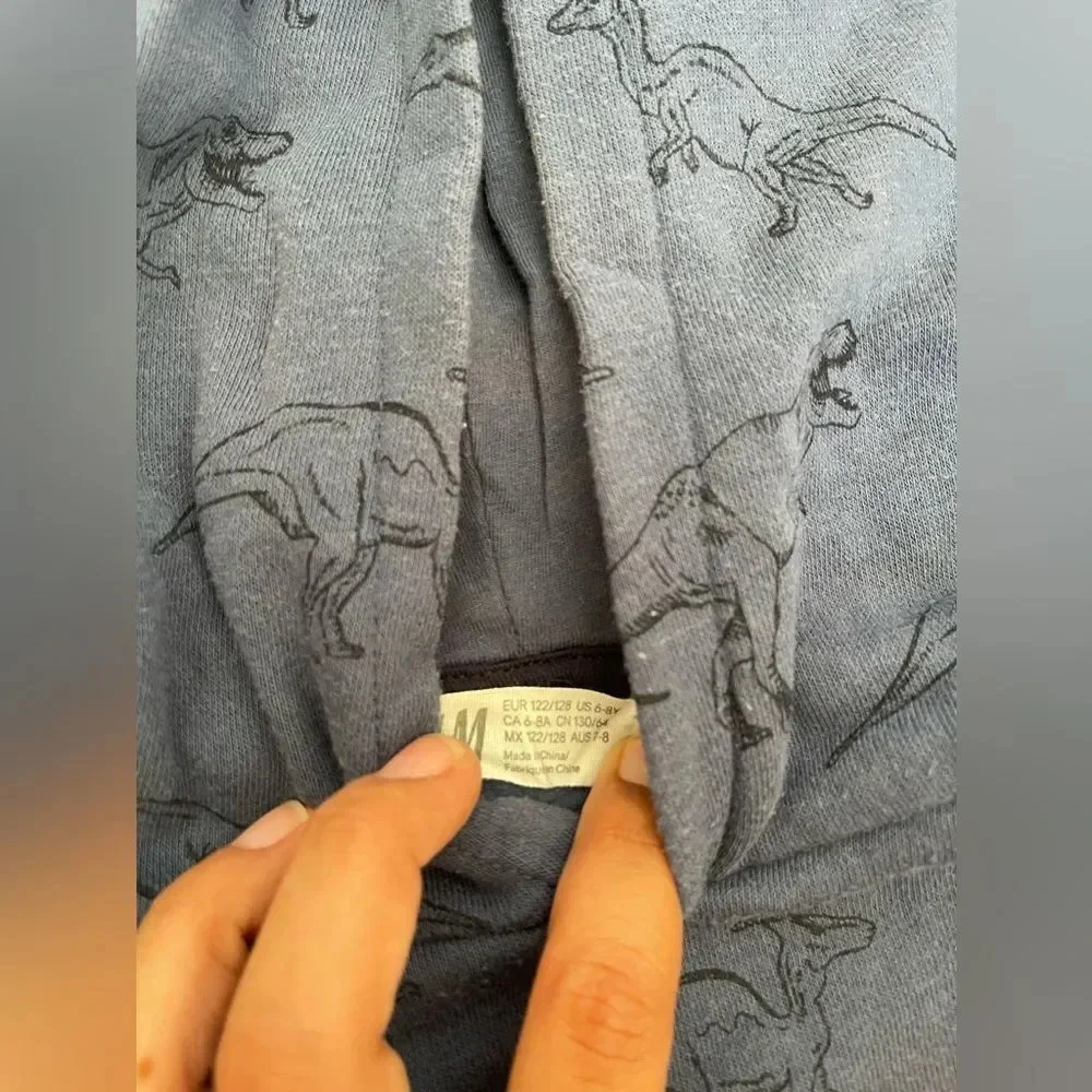 H&m sweater dinosaur Hoodie boys